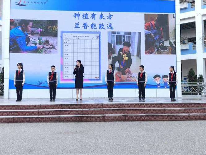 南宁市滨湖路小学：十年举办“兰花节” 涵养学子“君子品格”