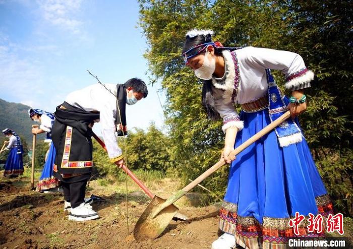 共栽同心树 11名四川阿坝学子浙江瑞安种下百棵树苗