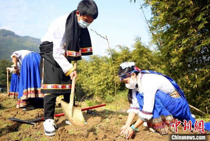 共栽同心树 11名四川阿坝学子浙江瑞安种下百棵树苗
