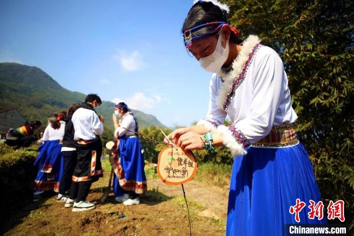 共栽同心树 11名四川阿坝学子浙江瑞安种下百棵树苗