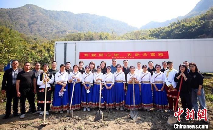 共栽同心树 11名四川阿坝学子浙江瑞安种下百棵树苗