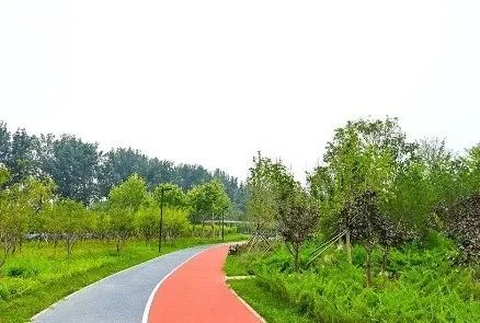 回天控规批复！创新示范北京城市更新地区街区控规