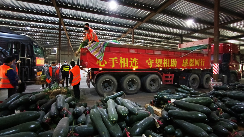 “都”来守“沪”！四川都江堰127吨爱心蔬菜运抵上海
