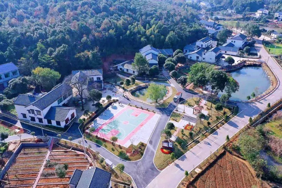 湖南省长沙市望城区：快马加鞭不负春 惠企落下“及时雨”