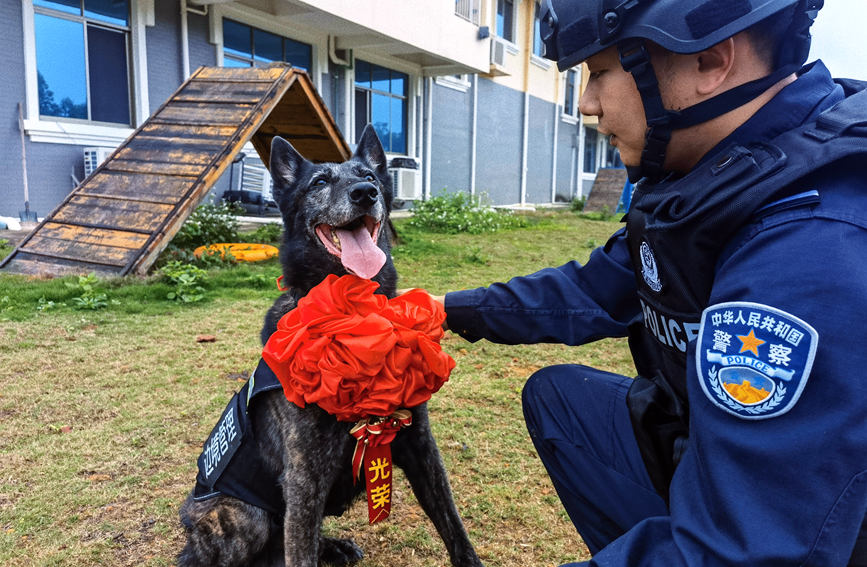 泪目！戍边卫国8年，“老兵”完成使命光荣退役