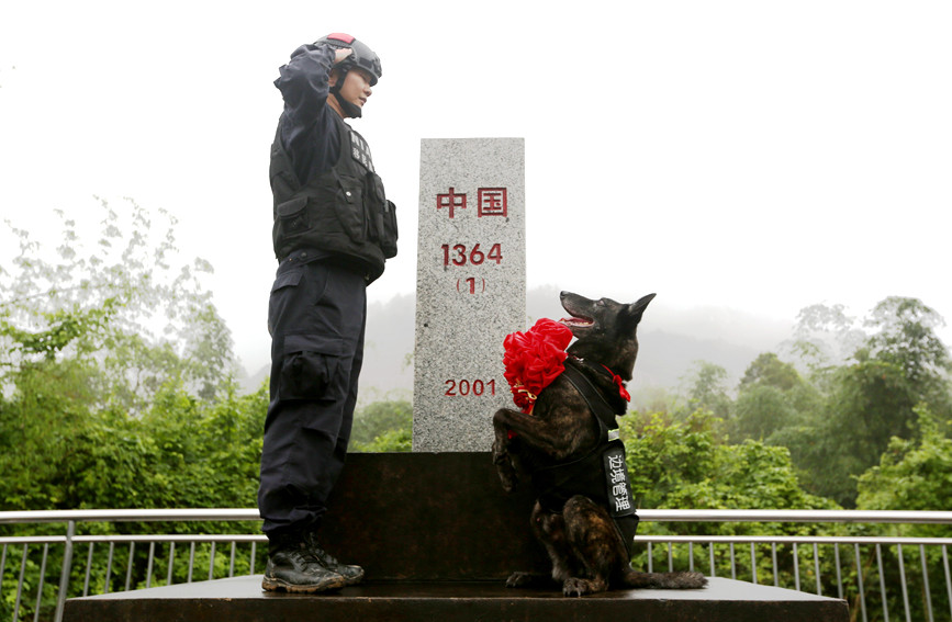 泪目！戍边卫国8年，“老兵”完成使命光荣退役