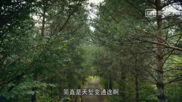 贵州桥梁“客串”央视热播剧《人世间》