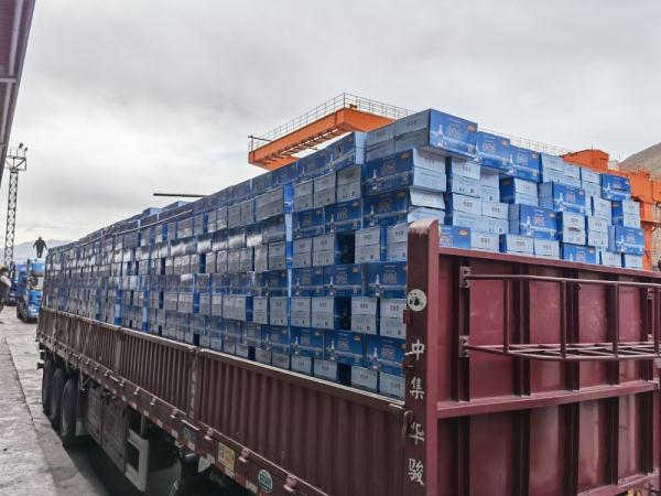 跨越4000多公里！西藏向上海、吉林捐赠抗疫物资