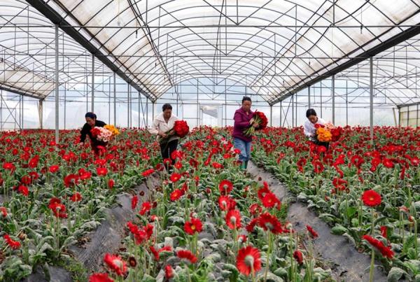 贵州毕节：不误春光农事忙