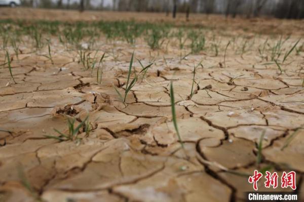 青海西宁已连续62天未出现有效降水 多地出现气象干旱