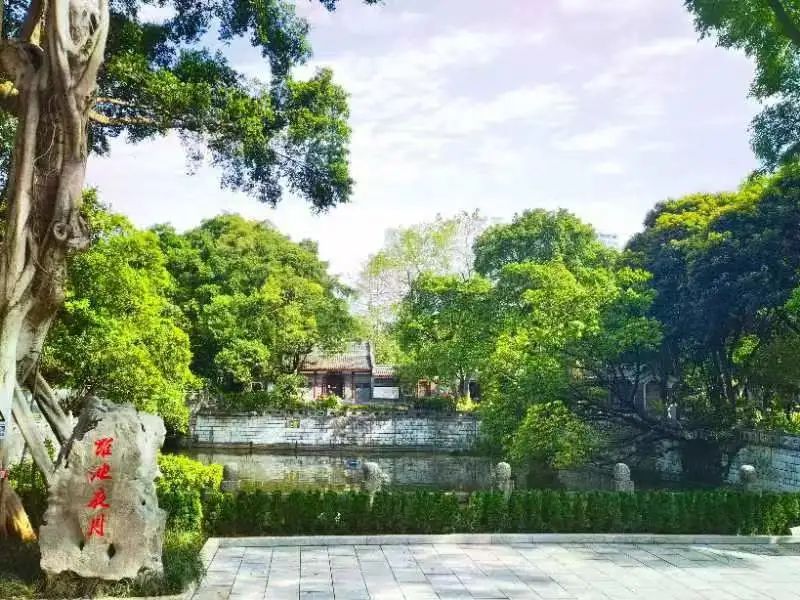 八桂风华·柳州八记 | 甘草、赵伟翔、陈中林等