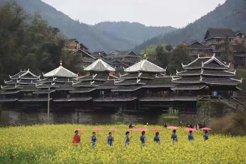 八桂风华·柳州八记 | 甘草、赵伟翔、陈中林等