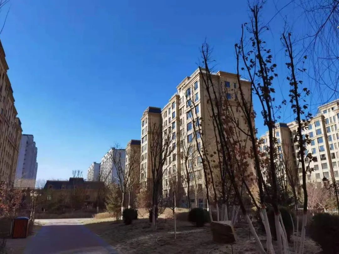 临河区：呵护碧水蓝天净土 绘就幸福底色