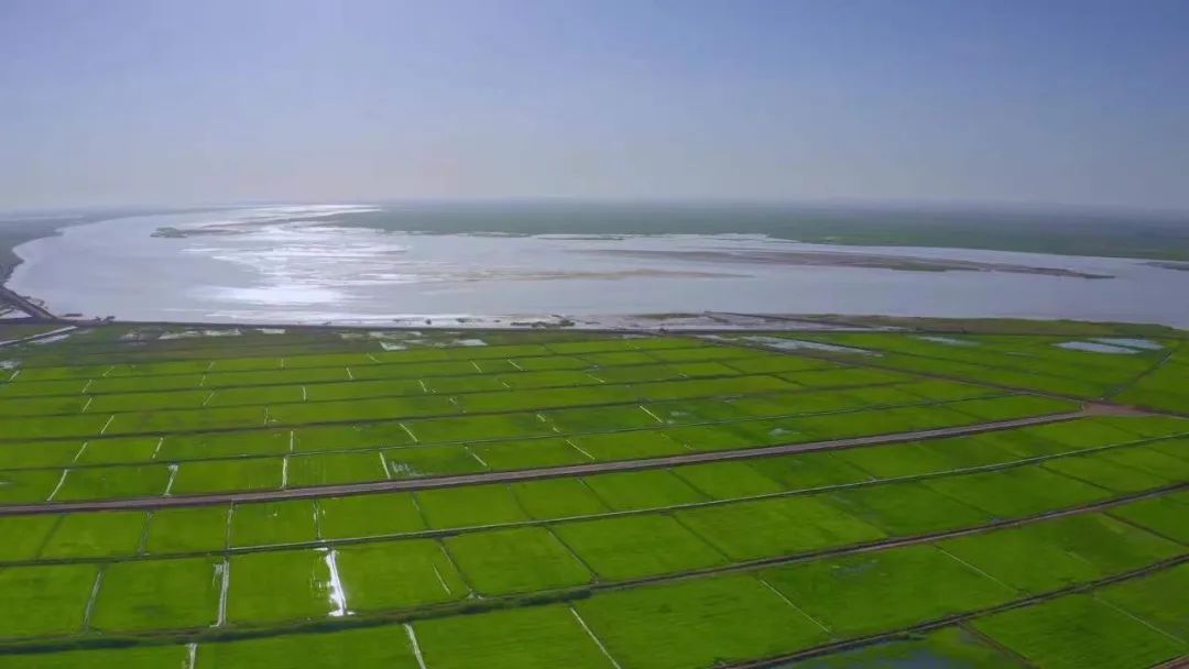 临河区：呵护碧水蓝天净土 绘就幸福底色