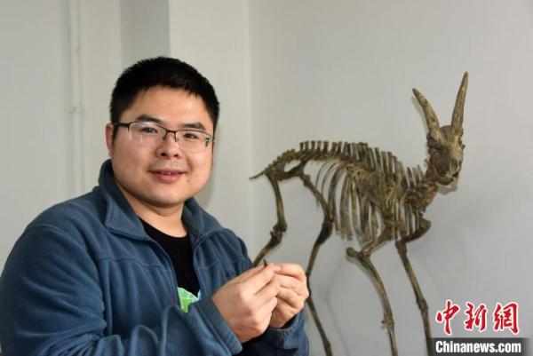 中国科学家在云南元谋发现全新剑齿虎族等化石 或为“古猿杀手”