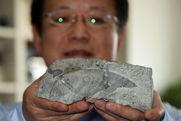 “古鱼王国”再添“新丁” 中国科学家发现4.1亿年前“硕大西屯鱼”