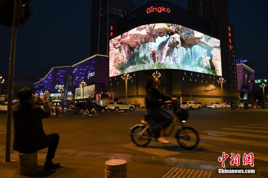 亚洲象裸眼3D视频亮相昆明户外大屏