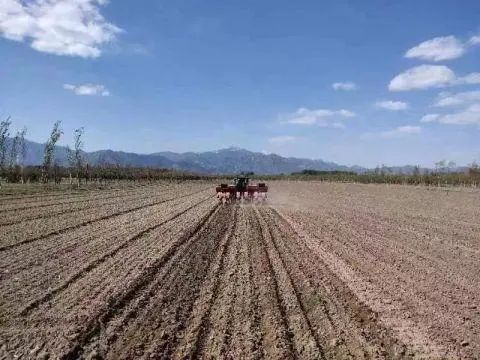 北京：全市春播粮食作物播种进度超过38% 比去年提早一周左右