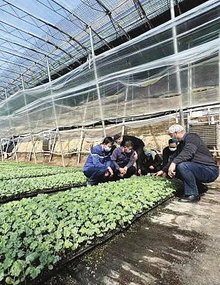 天津市静海区着力推进特色农业提质升级赋能乡村振兴