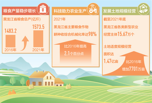 黑龙江今年粮食作物计划播种面积2.185亿亩以上