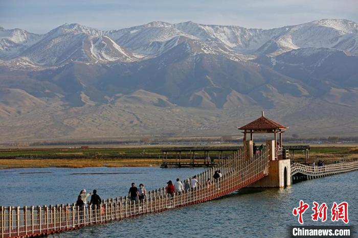 新疆巴里坤湿地迎来众多游客
