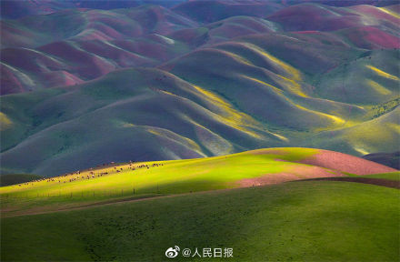 你有新的屏保可以换了！新疆加乌尔山草原美成屏保