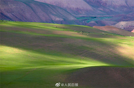 你有新的屏保可以换了！新疆加乌尔山草原美成屏保