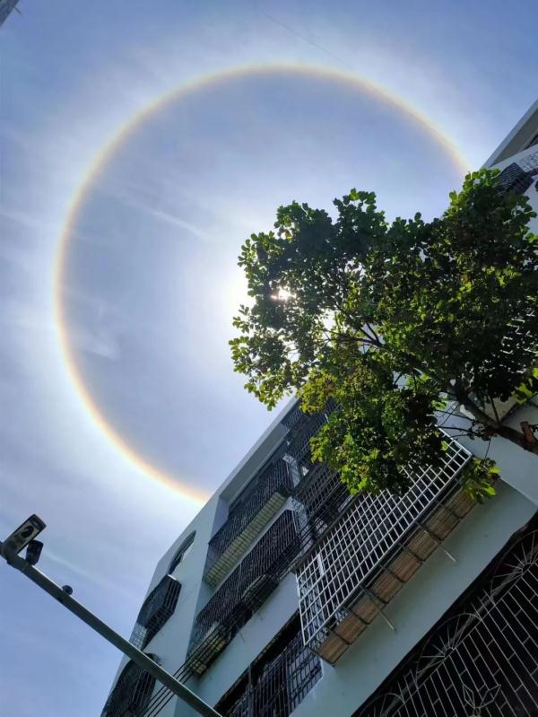 美爆了！海南多地天空出现日晕美景！