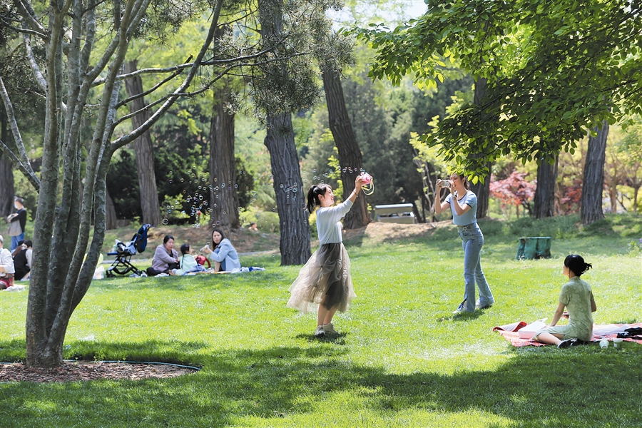  双休日里很多市民来到劳动公园，享受满园绿色和明媚阳光。大连新闻传媒集团记者姚壮