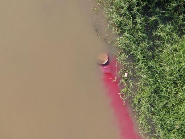 广西百色乐里河水体变红追踪：系制香染料滚落河中所致