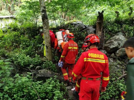 13人全部找到！云南森林消防成功营救苍山最后一批失联人员安全下山