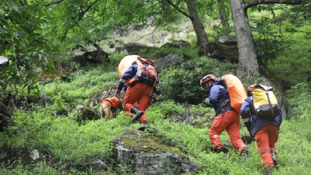 13人全部找到！云南森林消防成功营救苍山最后一批失联人员安全下山