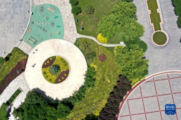 河北隆尧：增绿建园 让城市更宜居