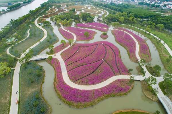 沪郊生态园恢复开放，首批游客雨中赏花