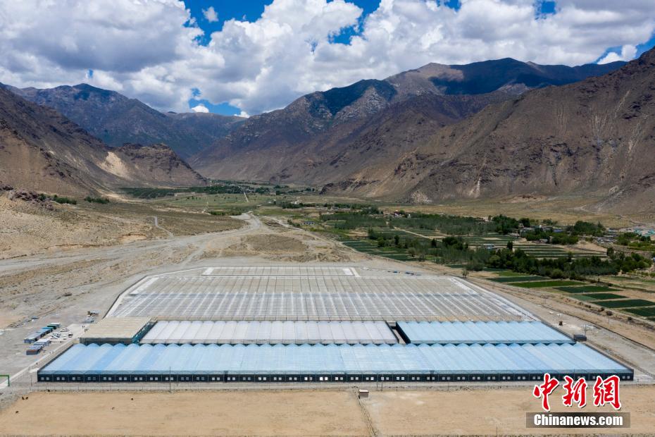西藏戈壁荒滩上的植物工厂 让戈壁变良田