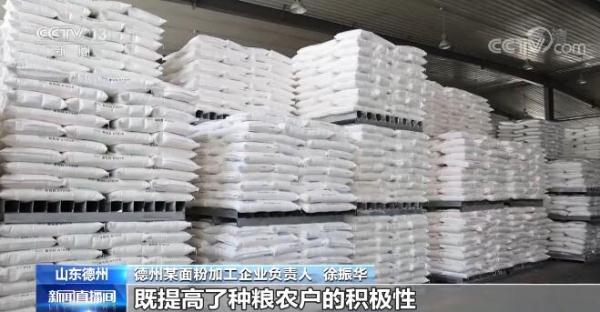 山东德州大力发展优质小麦订单种植 农户与企业实现双赢