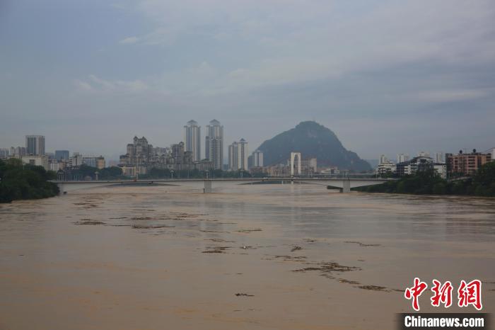 柳州遭遇今年以来最大洪水。　蒙鸣明 摄