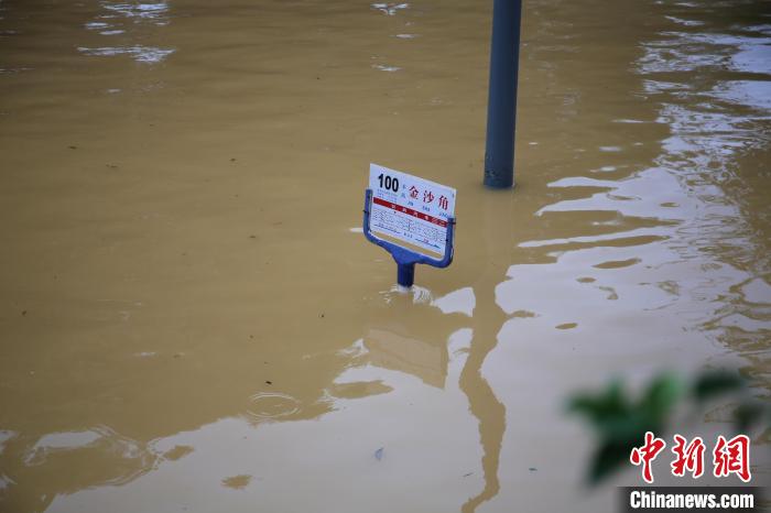 沿江道路上的公交车站牌被泡在洪水中。　蒙鸣明 摄