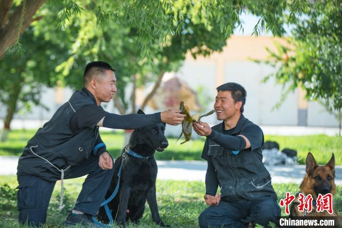 新疆带犬民警与“无言战友”的端午节