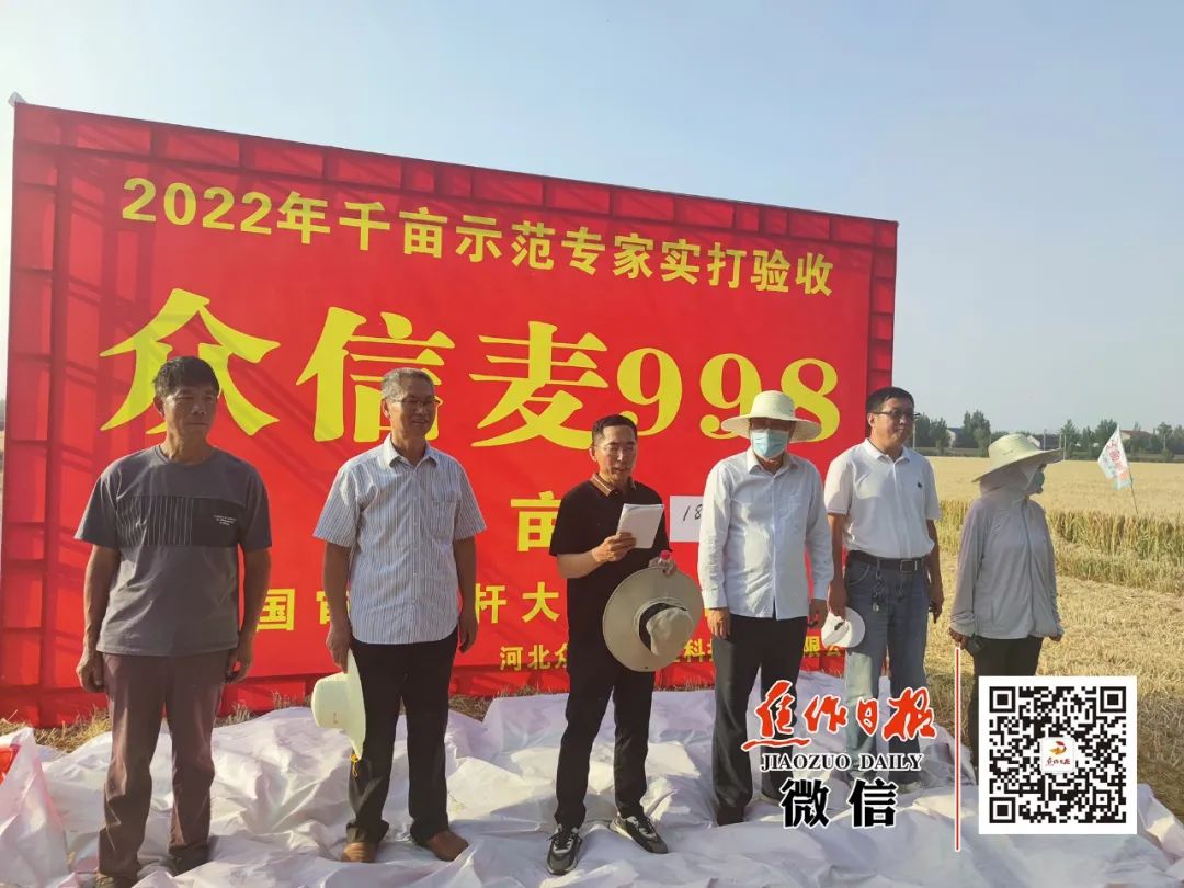 重磅！焦作市小麦高产示范田亩产连破全国纪录！