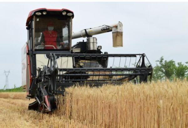 江苏麦收过半 已播栽秋粮逾700万亩
