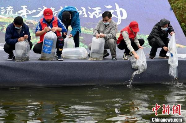 云南高原湖泊阳宗海增殖放流百万鱼苗