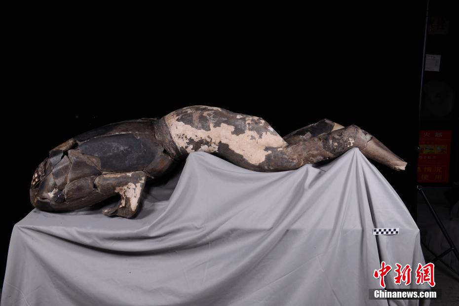 秦始皇帝陵博物院首次公布修复完成的“仰卧俑”