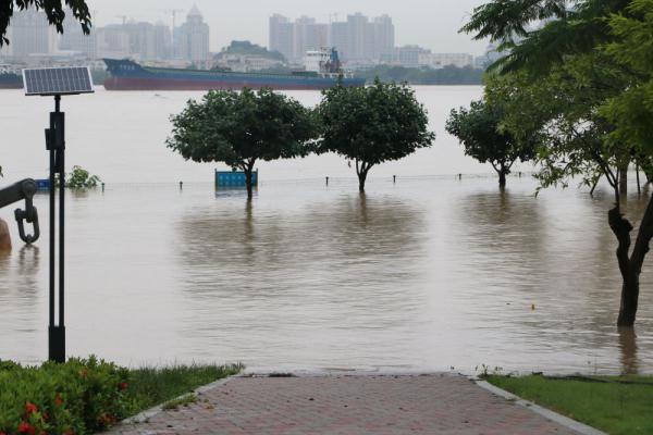 广东江门水位上涨 部分区域被淹