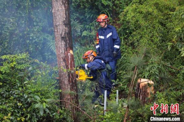 福建长汀：森林消防高空作业排险情