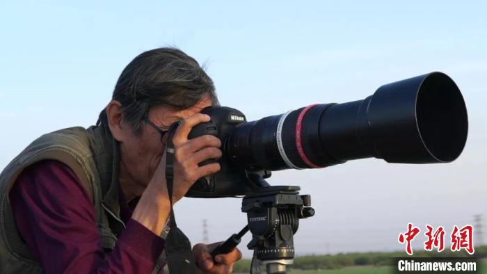乌鲁木齐“追鸟人”：十年记录镜头里的“人与自然”
