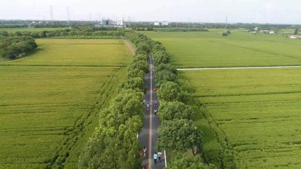 江苏财政统筹安排53亿元 支持高标准农田建设
