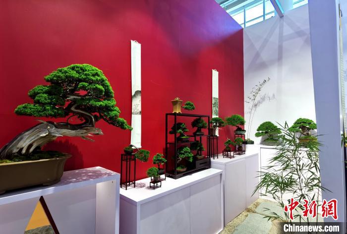 2022中国厦门国际花卉及花园园艺博览会启幕