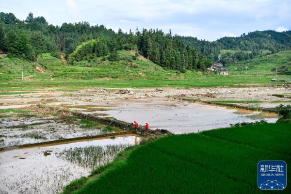 新华全媒+|众志成城 重建家园——贵州从江洪水灾后重建进行时