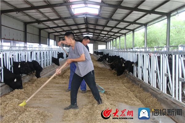 品质滨州丨做强“牛产业”阳信亿利源助推“阳信牛”高质量发展